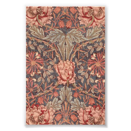 Honeysuckle, Floral Pattern by William Morris Foto Afdruk (Voorkant)