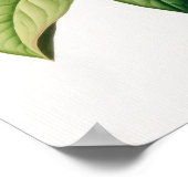 Honeysuckle Flowers Art Print Poster (Coin)