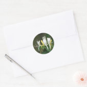 Honeysuckle Ronde Sticker (Envelop)