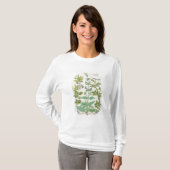 Honeysuckle, Sage en Roos T-shirt (Voorkant volledig)