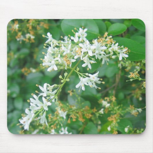 Honeysuckle Sweet Muismat (Voorkant)