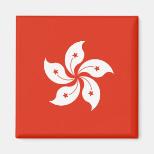 Hong Kong Flag HK Magneet
