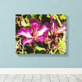 Hong Kong Orchid Tree Canvas (Insitu (Houten vloer))