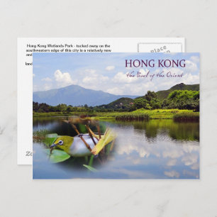 Hong Kong Wetlands Park Carte de poste de voyage