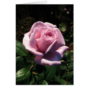 Hongaars-Boldog születésnapot