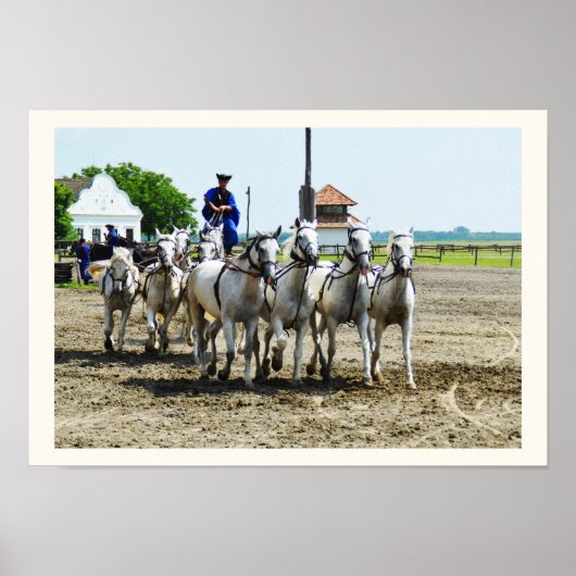 Hongaars paard poster (Voorkant)