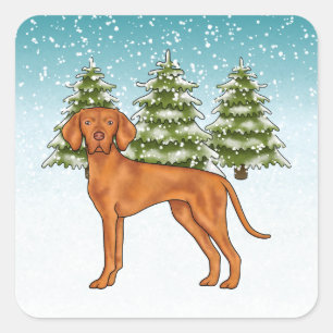 Hongaars Vizsla Hond Sneeuwig Winter Bos Feestelij Vierkante Sticker