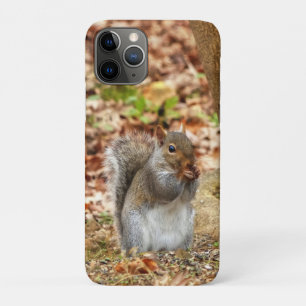 Hongaarse eekhoorn iPhone 11 pro hoesje