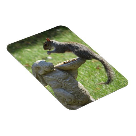 Hongaarse eekhoorn en Bunny Statue Magnet Magneet (Rechterzijde)