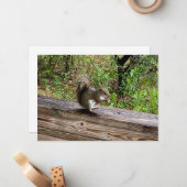 Hongaarse eekhoorn notitiekaartje (Voorkant / Achterkant in situ)