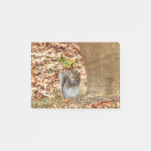 Hongaarse eekhoorn post-it® notes (Voorkant)