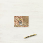 Hongaarse eekhoorn post-it® notes (Op bureau)