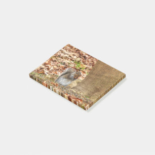 Hongaarse eekhoorn post-it® notes