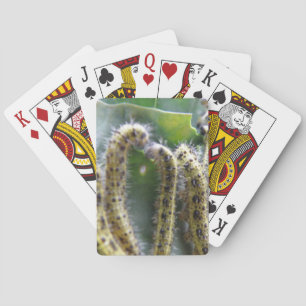 Hongaarse kool Witte pijlers voor het afspelen van Speelkaarten