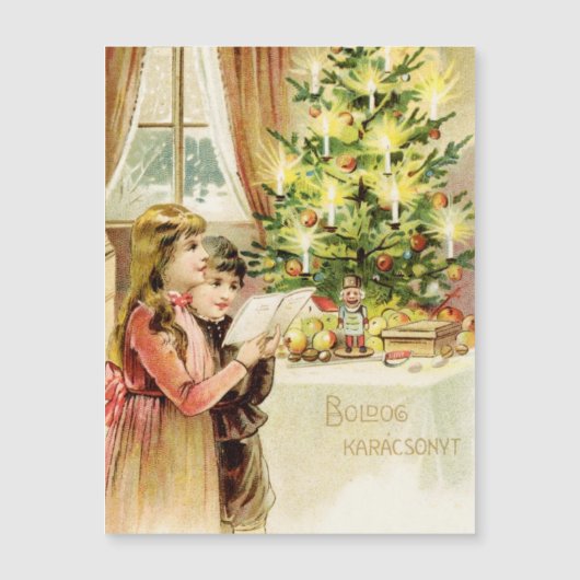 Hongaarse mas 1902 (Voorkant)