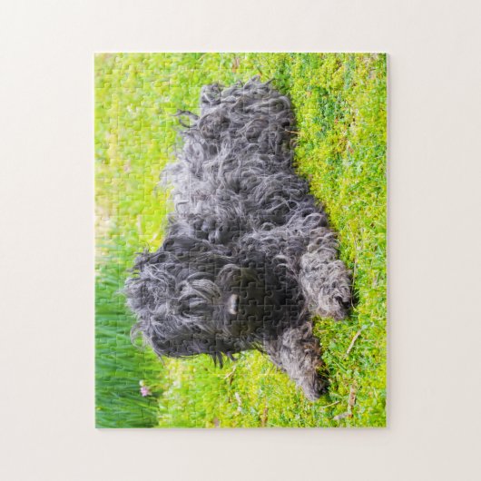 Hongaarse Puli Dog. Legpuzzel (Verticaal)
