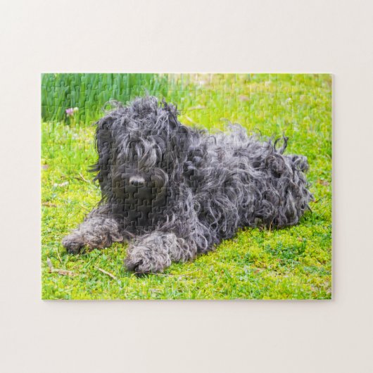 Hongaarse Puli hond. Legpuzzel (Horizontaal)