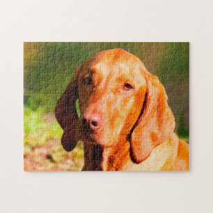 Hongaarse Vizla Dog Jigsaws. Legpuzzel