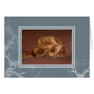 Hongaarse Vizsla Blank Card 005