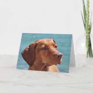 Hongaarse Vizsla-hond Kaart