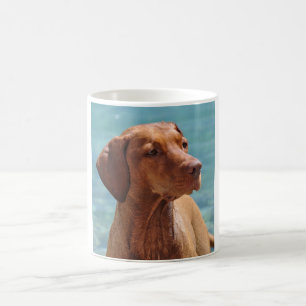Hongaarse Vizsla-hond Koffiemok