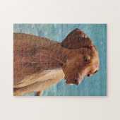 Hongaarse Vizsla-hond Legpuzzel (Horizontaal)
