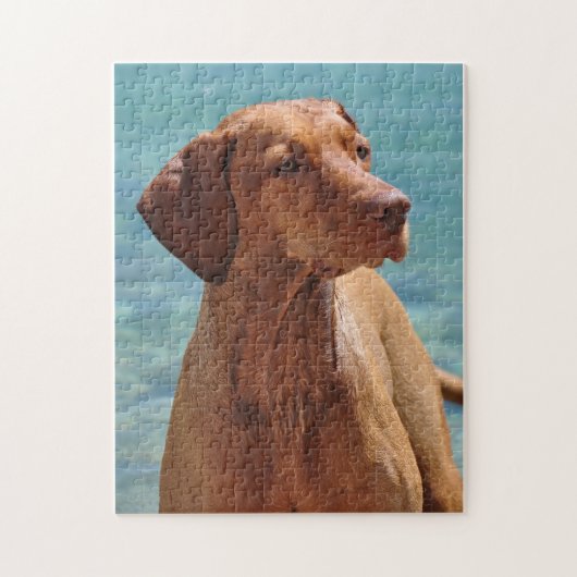 Hongaarse Vizsla-hond Legpuzzel (Verticaal)