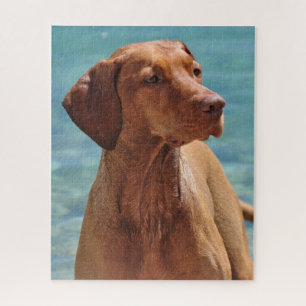 Hongaarse Vizsla-hond Legpuzzel