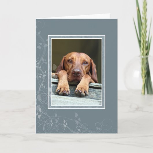 Hongaarse Vizsla Lege Kaart 002 (Voorkant)