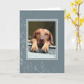 Hongaarse Vizsla Lege Kaart 002 (Gele Bloem)