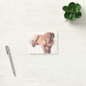 Hongaarse Vizsla Puppy Post-it® Notes (Kantoor)