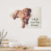Hongaarse Vizsla Puppy Poster (Keuken)