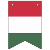 Hongaarse vlag banner (Eerste vlag)