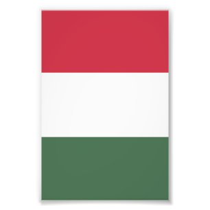 Hongaarse vlag foto afdruk