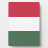 Hongaarse vlag fotoplaat (voorkant)