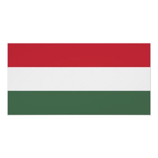 Hongaarse vlag perfect poster (Voorkant)