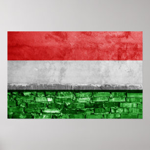 Hongaarse vlag poster