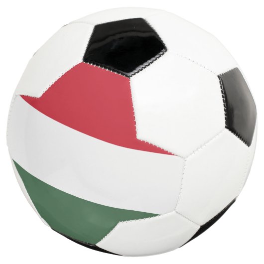 Hongaarse vlag voetbal (Drie kwart)