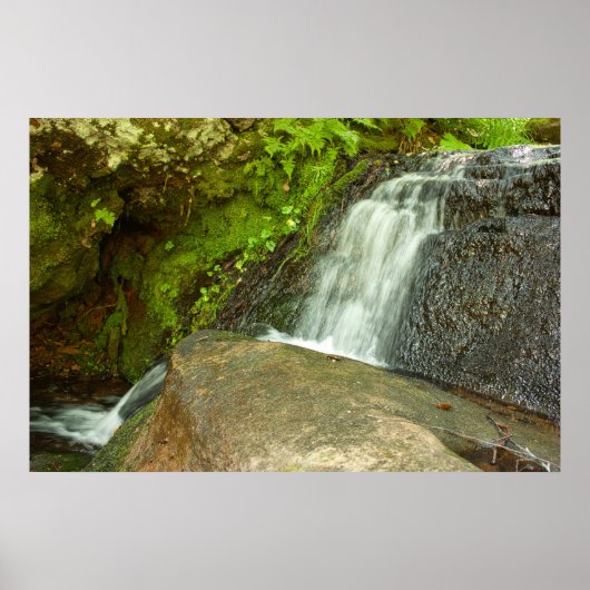 Hongaarse Waterval Bemoste Bos Cascade Poster (Voorkant)