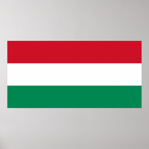Hongarije - Hongaarse nationale vlag Poster