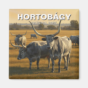 Hongarije Hortobagy Nationaal Park Reizen Magneet