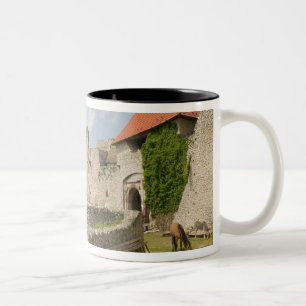 HONGARIJE, Lake Balaton Regio, SUMEG: Sumeg Tweekleurige Koffiemok