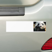 Hongerige Panda Bumpersticker (Op auto)