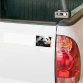Hongerige Panda Bumpersticker (Op Truck)