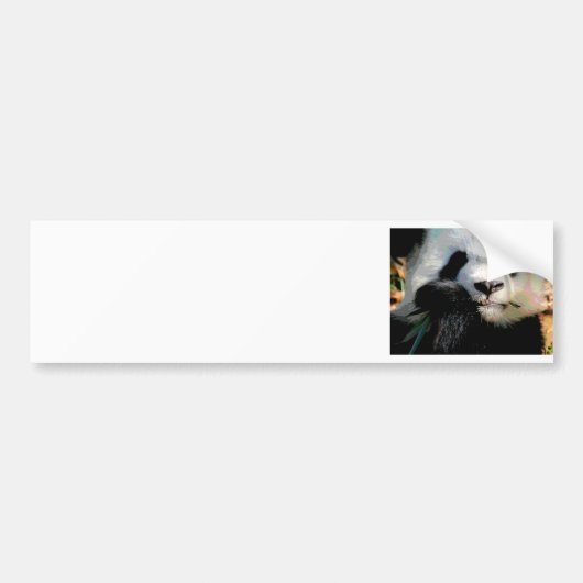 Hongerige Panda Bumpersticker (Voorkant)