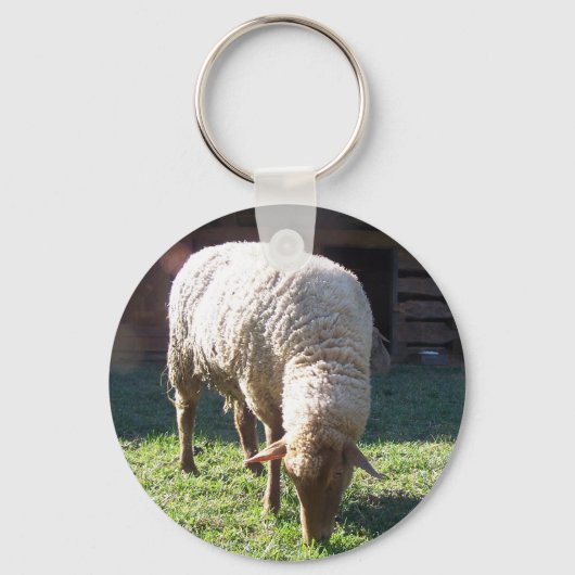 hongerschapen sleutelhanger (Voorkant)