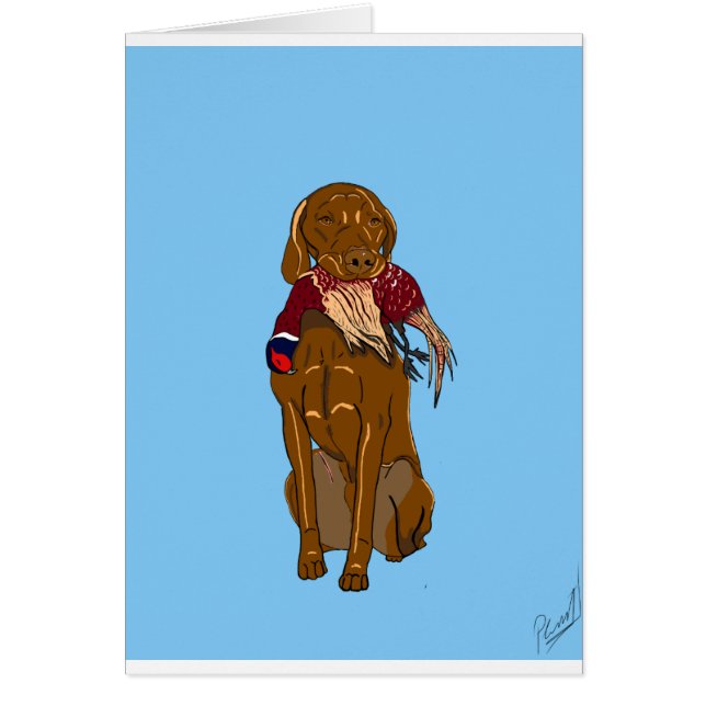 Hongrois Vizsla (Devant)