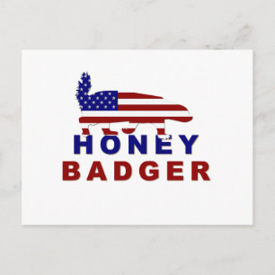 Honing das Amerikaanse vlag Briefkaart