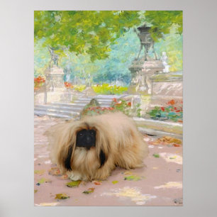 Honing Pekingees in Bloemstuk Poster