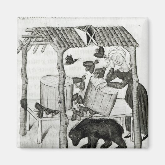 Honing verzamelen magneet (Voorkant)